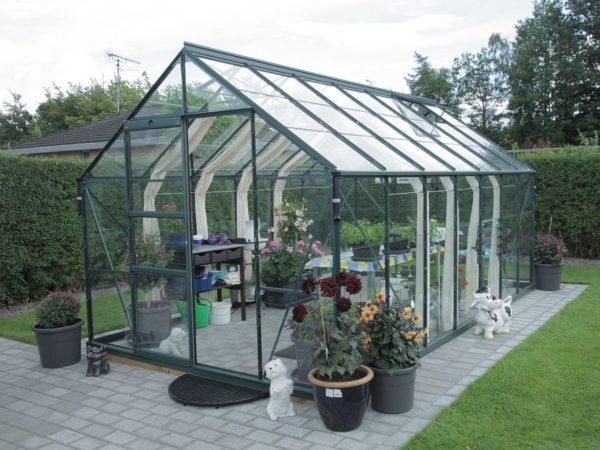 Kasvuhoone Vitavia Neptun 9900 - Image 8
