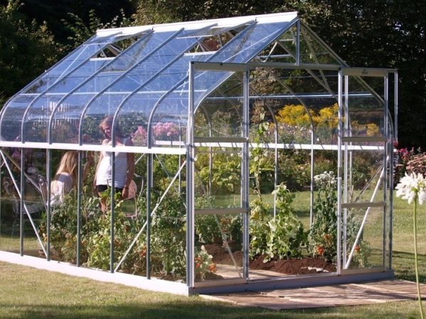 Kasvuhoone Vitavia Saturn 9900 9,9m² - Image 7
