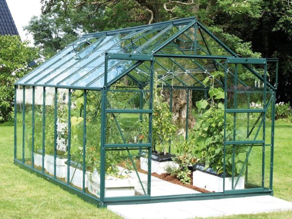 Kasvuhoone Vitavia Jupiter 11500 / 11,5m² - Image 6