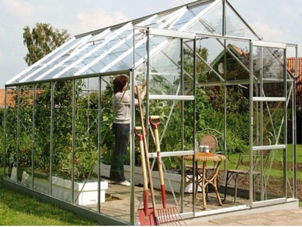 Kasvuhoone Vitavia Jupiter 9900 / 9,9m² - Image 9