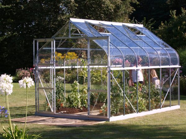 Kasvuhoone Vitavia Saturn 9900 9,9m²