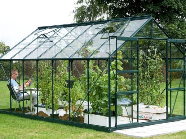 Kasvuhoone Vitavia Jupiter 11500 / 11,5m² - Image 7