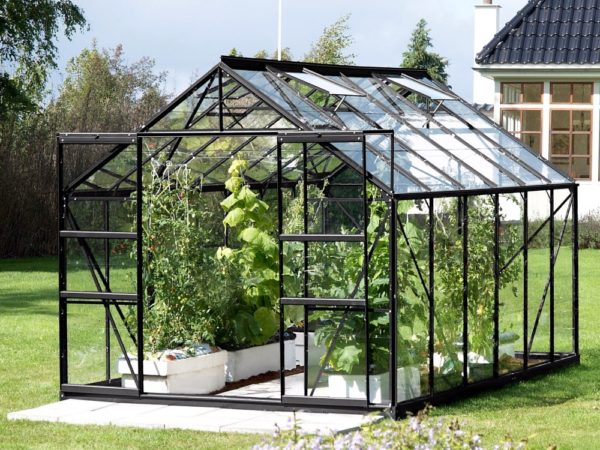 Kasvuhoone Vitavia Jupiter 9900 / 9,9m² - Image 6