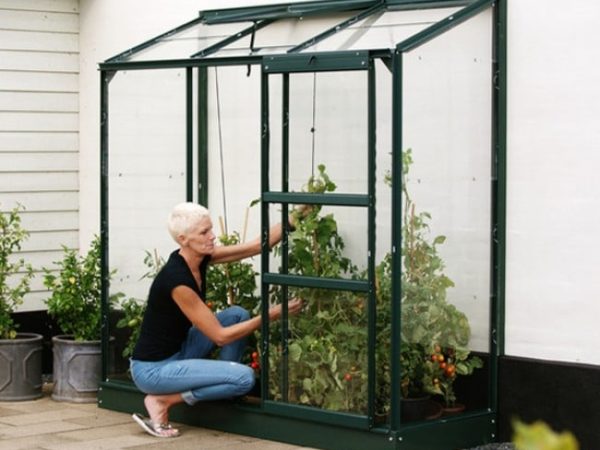 Seinaäärne rõdukasvuhoone Vitavia Ida 1300 - Image 3