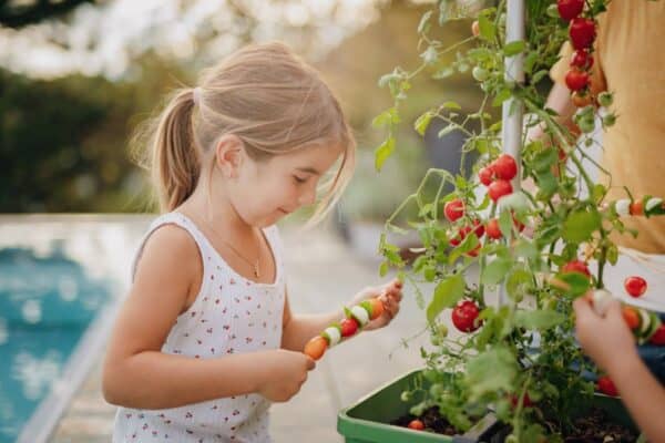 Kastmissüsteemiga taimepotid tomatitele