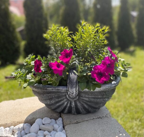 Taimepott Basket S - Image 7