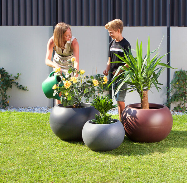Taimepotid Swing